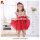 Kid girl summer red chiffon embroideried dress